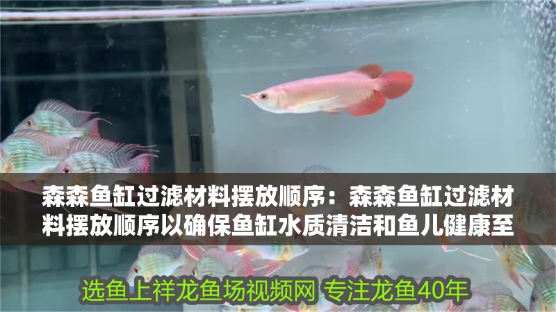 森森魚缸過濾材料擺放順序：森森魚缸過濾材料擺放順序以確保魚缸水質清潔和魚兒健康至關重要