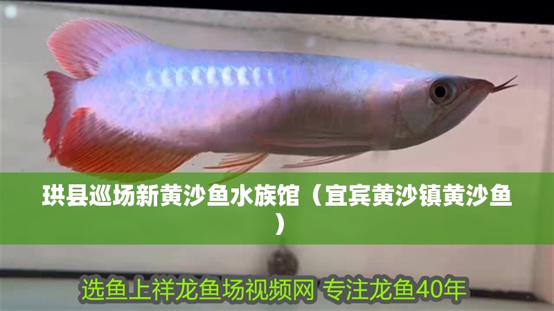 珙縣巡場新黃沙魚水族館（宜賓黃沙鎮黃沙魚）