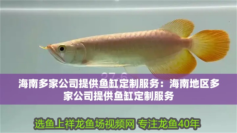 海南多家公司提供魚缸定制服務：海南地區多家公司提供魚缸定制服務