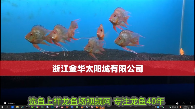 浙江金華太陽城有限公司