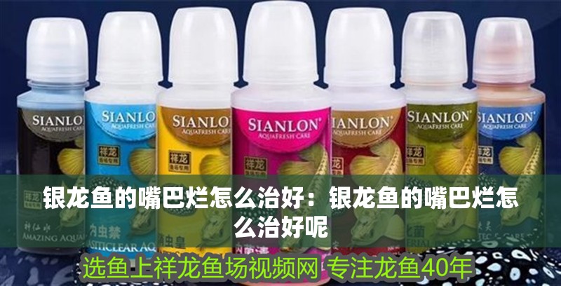銀龍魚的嘴巴爛怎么治好：銀龍魚的嘴巴爛怎么治好呢