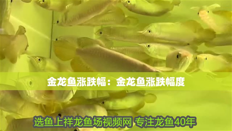 金龍魚漲跌幅：金龍魚漲跌幅度