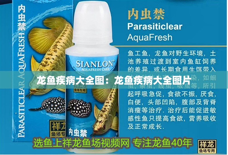 龍魚(yú)疾病大全圖:龍魚(yú)疾病大全圖片 水族問(wèn)答 龍魚(yú)疾病大全圖:龍魚(yú)疾病大全圖片 龍魚(yú)疾病大全圖:龍魚(yú)疾病大全圖片 水族問(wèn)答