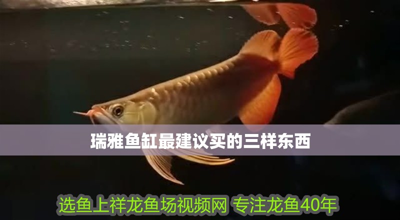 瑞雅魚缸最建議買的三樣東西