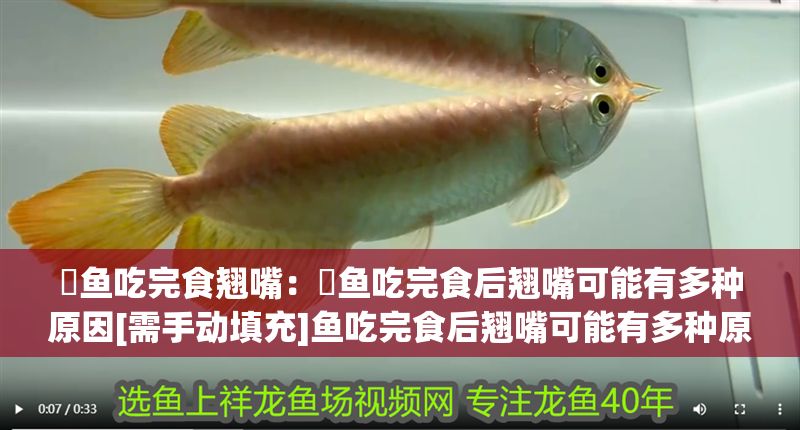 魟魚吃完食翹嘴：魟魚吃完食后翹嘴可能有多種原因[需手動填充]魚吃完食后翹嘴可能有多種原因