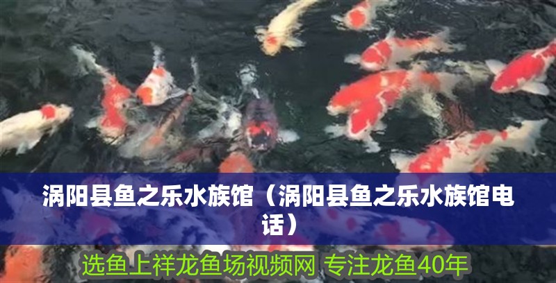 渦陽縣魚之樂水族館（渦陽縣魚之樂水族館電話）