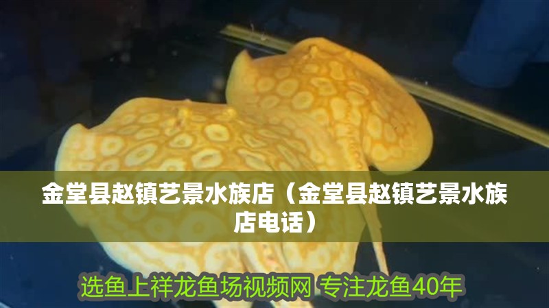 金堂縣趙鎮(zhèn)藝景水族店（金堂縣趙鎮(zhèn)藝景水族店電話）