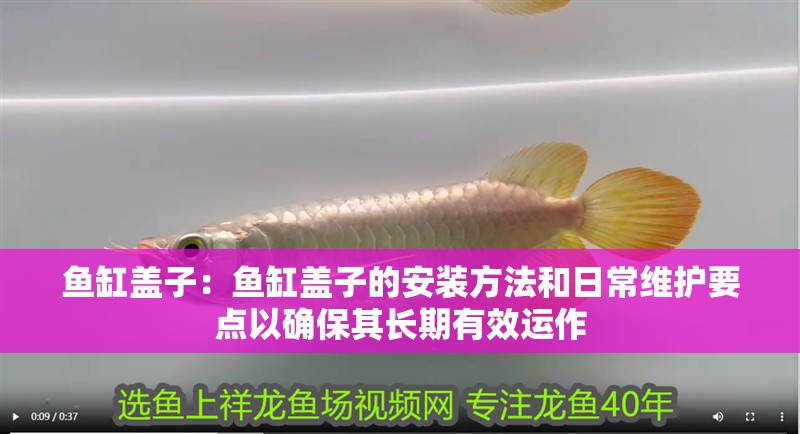 魚缸蓋子：魚缸蓋子的安裝方法和日常維護(hù)要點(diǎn)以確保其長期有效運(yùn)作
