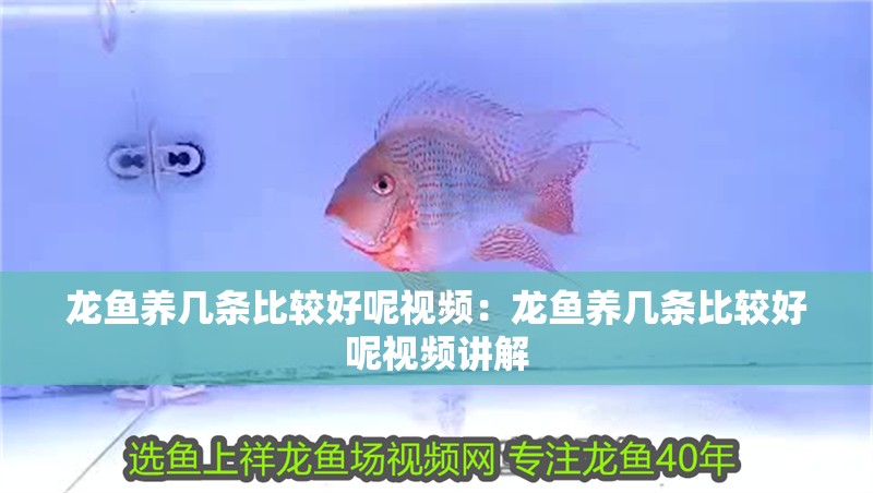 帝王魟魚水溫控制技巧，帝王魟魚冬季保溫措施,不同季節水溫調節技巧