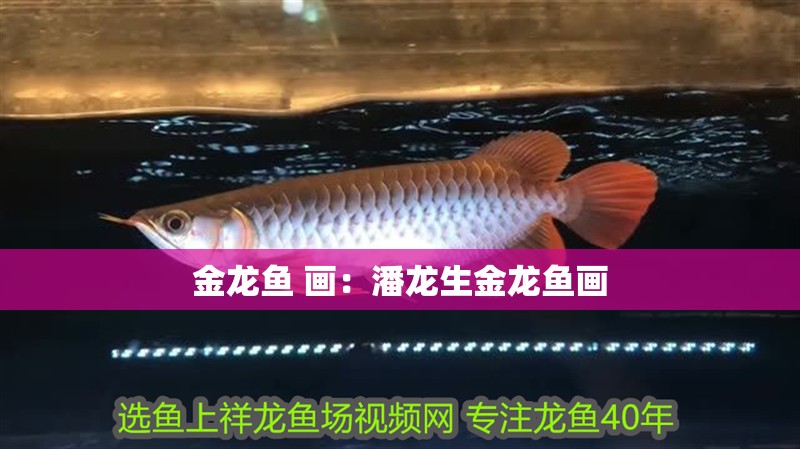 金龍魚 畫：潘龍生金龍魚畫