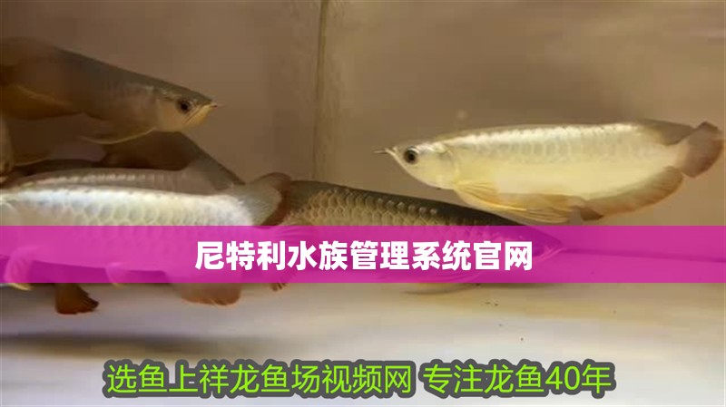 尼特利水族管理系統(tǒng)官網(wǎng)