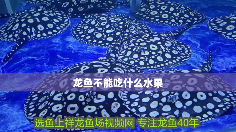 龍魚不能吃什么水果