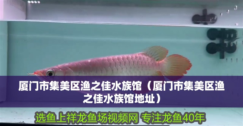 廈門市集美區漁之佳水族館（廈門市集美區漁之佳水族館地址） 廈門市集美區漁之佳水族館（廈門市集美區漁之佳水族館地址） 全國水族館企業名錄 第2張
