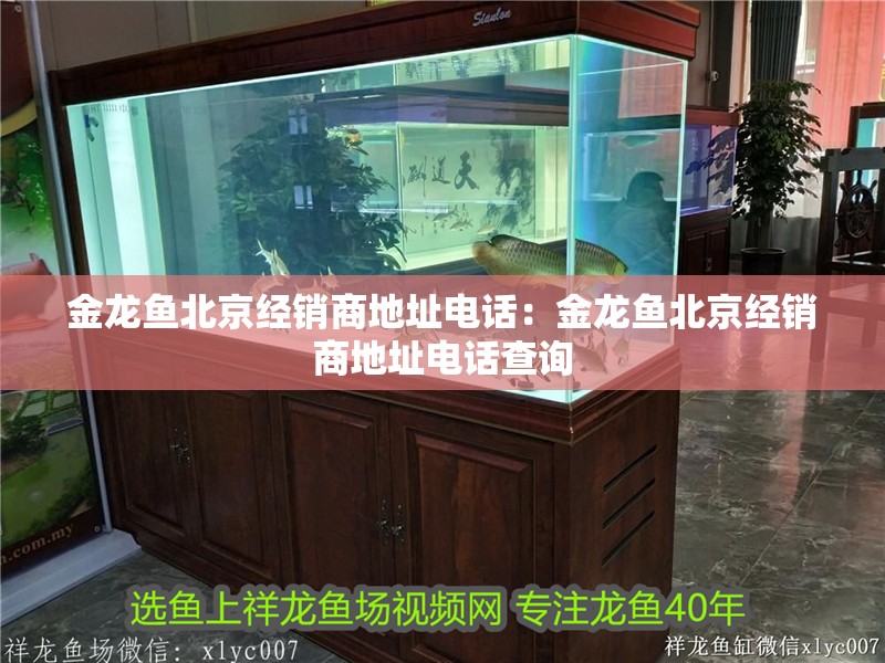 金龍魚北京經銷商地址電話：金龍魚北京經銷商地址電話查詢
