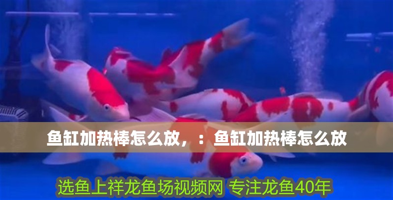 魚缸加熱棒怎么放，：魚缸加熱棒怎么放
