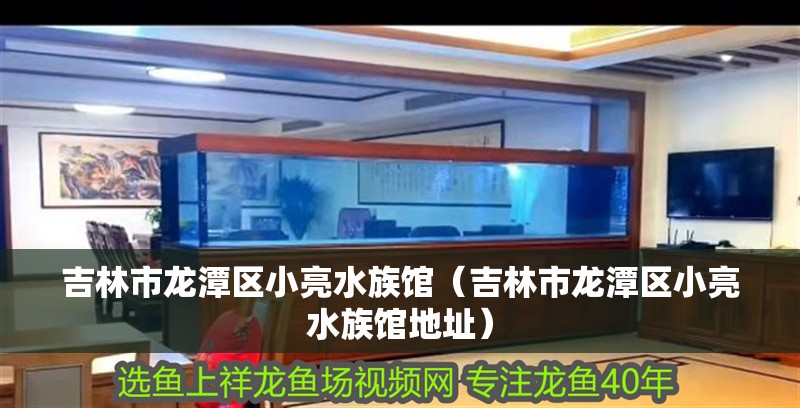 吉林市龍潭區小亮水族館（吉林市龍潭區小亮水族館地址）