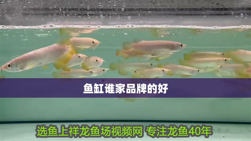 魚(yú)缸誰(shuí)家品牌的好