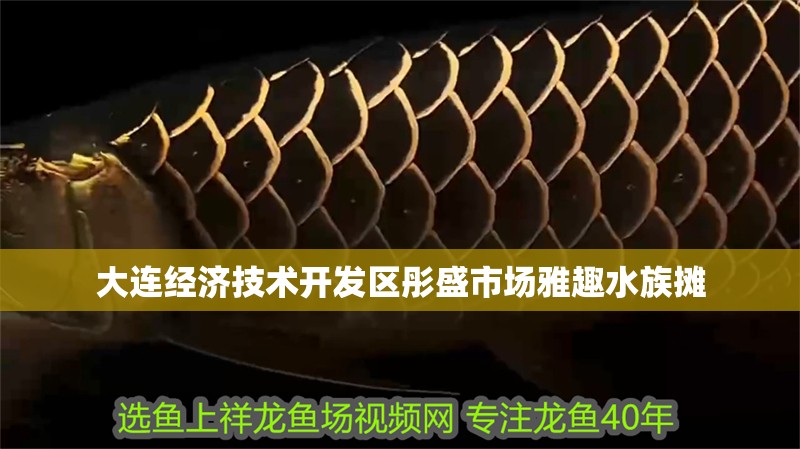 大連經濟技術開發區彤盛市場雅趣水族攤