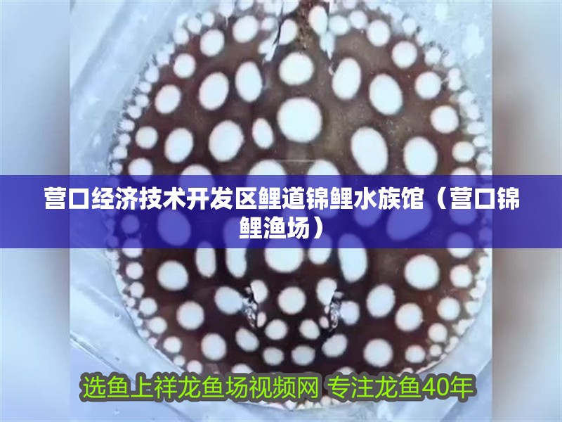 營口經(jīng)濟(jì)技術(shù)開發(fā)區(qū)鯉道錦鯉水族館（營口錦鯉漁場）