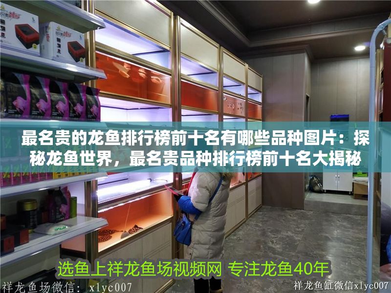 最名貴的龍魚排行榜前十名有哪些品種圖片：探秘龍魚世界，最名貴品種排行榜前十名大揭秘