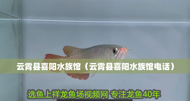 云霄縣喜陽水族館（云霄縣喜陽水族館電話）