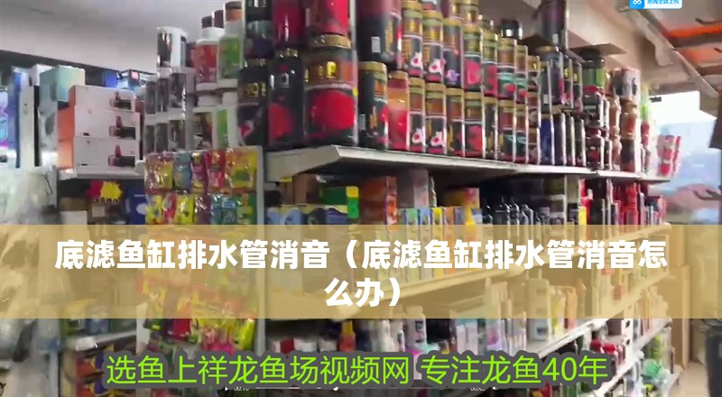 底濾魚缸排水管消音（底濾魚缸排水管消音怎么辦）