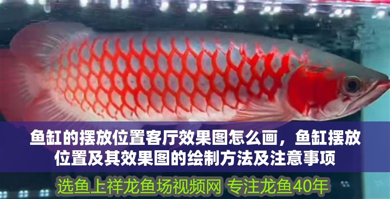 魚缸的擺放位置客廳效果圖怎么畫，魚缸擺放位置及其效果圖的繪制方法及注意事項