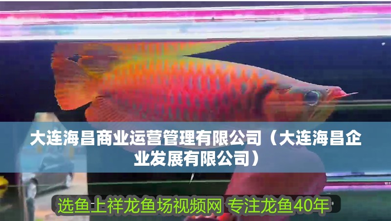 大連海昌商業運營管理有限公司(大連海昌企業發展有限公司) 全國水族館企業名錄 第1張 大連海昌商業運營管理有限公司(大連海昌企業發展有限公司) 大連海昌商業運營管理有限公司(大連海昌企業發展有限公司) 全國水族館企業名錄 第1張