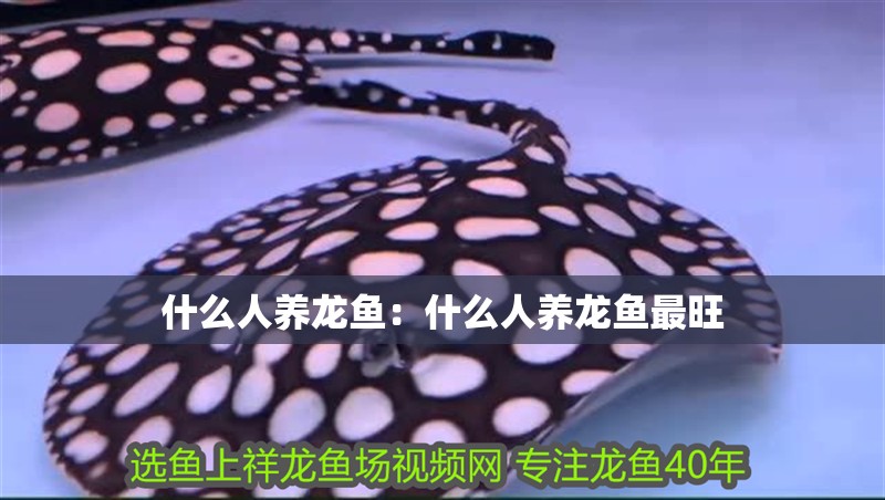 什么人養(yǎng)龍魚：什么人養(yǎng)龍魚最旺