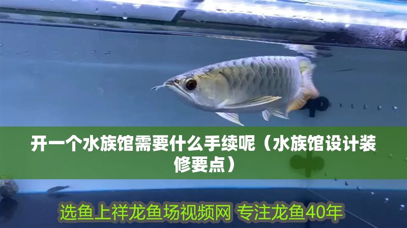 開一個水族館需要什么手續呢（水族館設計裝修要點）