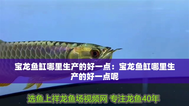 寶龍魚(yú)缸哪里生產(chǎn)的好一點(diǎn)：寶龍魚(yú)缸哪里生產(chǎn)的好一點(diǎn)呢 寶龍魚(yú)缸哪里生產(chǎn)的好一點(diǎn)：寶龍魚(yú)缸哪里生產(chǎn)的好一點(diǎn)呢 水族問(wèn)答