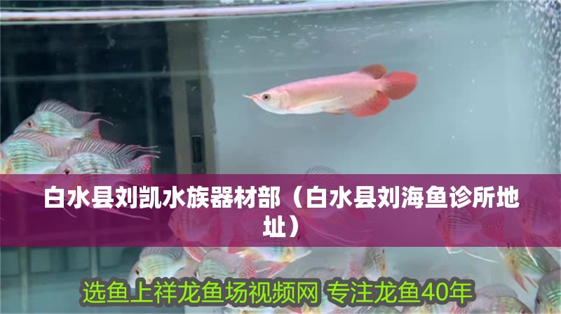 白水縣劉凱水族器材部（白水縣劉海魚診所地址） 白水縣劉凱水族器材部（白水縣劉海魚診所地址） 全國水族館企業名錄 第1張