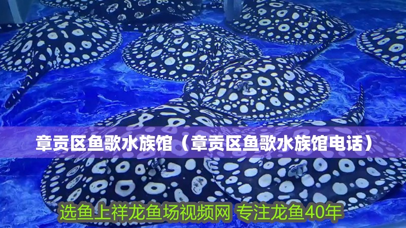 章貢區魚歌水族館（章貢區魚歌水族館電話）