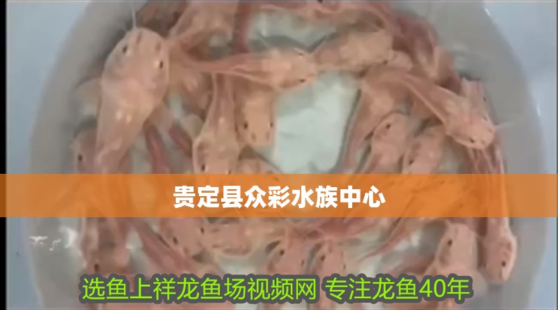 貴定縣眾彩水族中心 貴定縣眾彩水族中心 全國水族館企業名錄 第1張