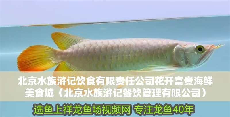 北京水族滸記飲食有限責(zé)任公司花開富貴海鮮美食城（北京水族滸記餐飲管理有限公司）