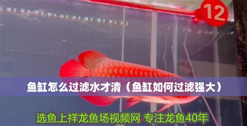 魚缸怎么過濾水才清（魚缸如何過濾強大）