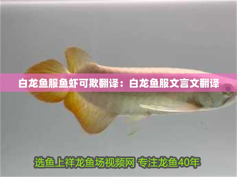 白龍魚服魚蝦可欺翻譯：白龍魚服文言文翻譯