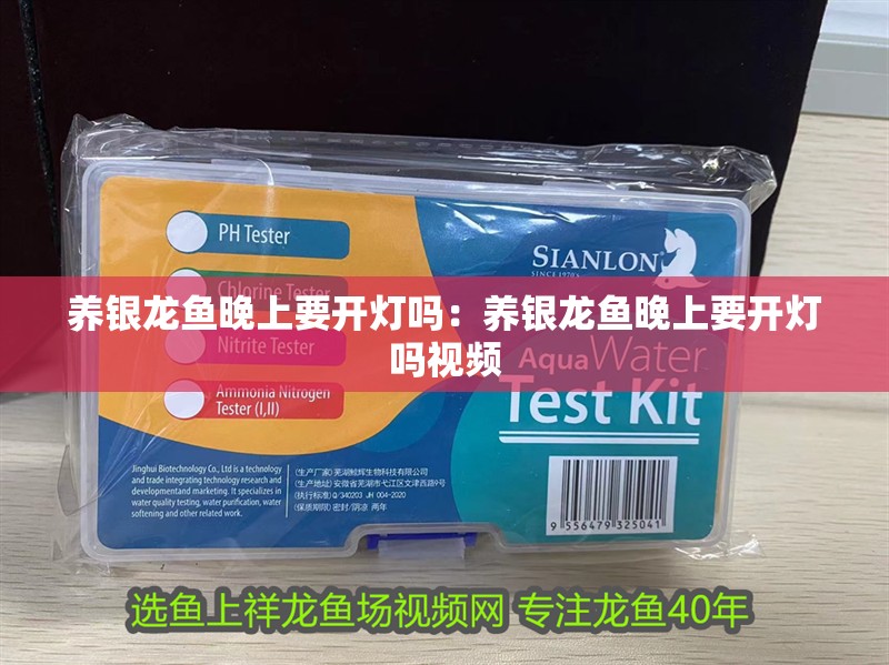 養(yǎng)銀龍魚晚上要開燈嗎：養(yǎng)銀龍魚晚上要開燈嗎視頻 養(yǎng)銀龍魚晚上要開燈嗎：養(yǎng)銀龍魚晚上要開燈嗎視頻 水族問答