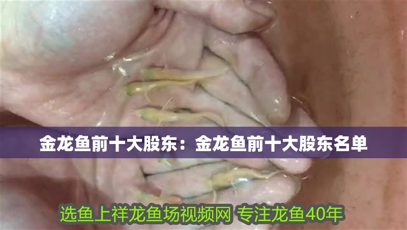 金龍魚前十大股東：金龍魚前十大股東名單