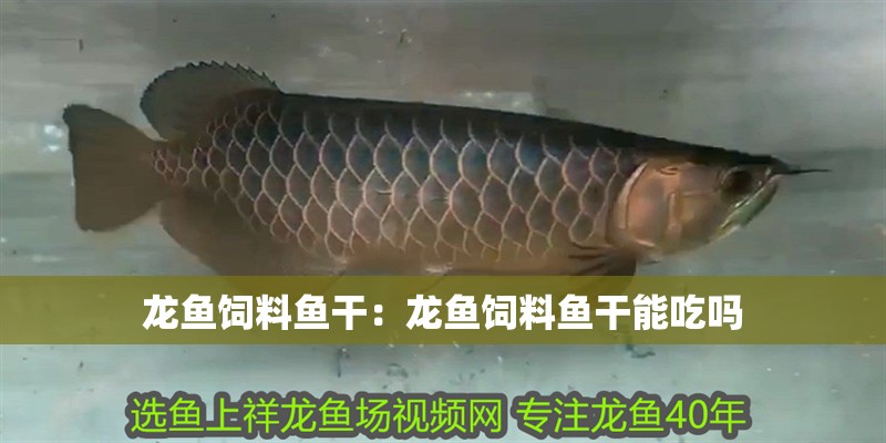 龍魚(yú)飼料魚(yú)干：龍魚(yú)飼料魚(yú)干能吃嗎