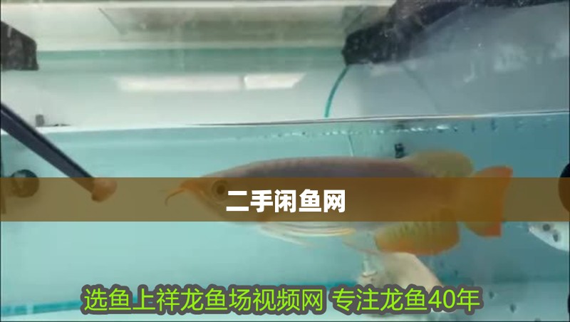 二手閑魚網