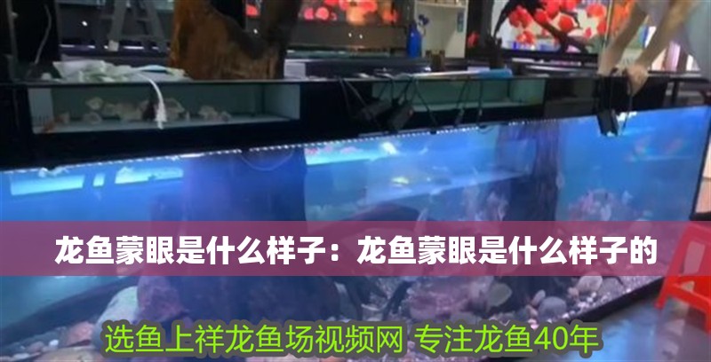 龍魚蒙眼是什么樣子：龍魚蒙眼是什么樣子的