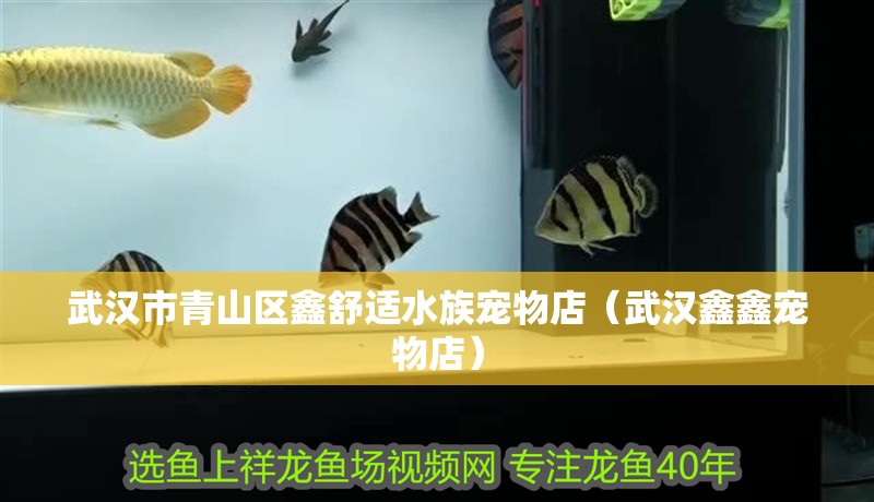 武漢市青山區(qū)鑫舒適水族寵物店(武漢鑫鑫寵物店) 全國水族館企業(yè)名錄 第1張 武漢市青山區(qū)鑫舒適水族寵物店(武漢鑫鑫寵物店) 武漢市青山區(qū)鑫舒適水族寵物店(武漢鑫鑫寵物店) 全國水族館企業(yè)名錄 第1張
