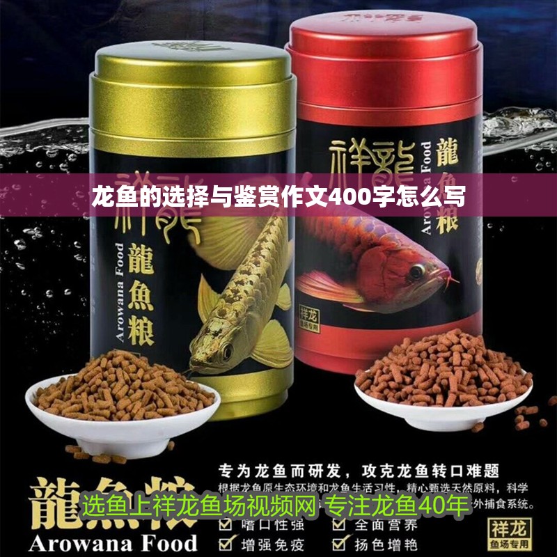 龍魚的選擇與鑒賞作文400字怎么寫