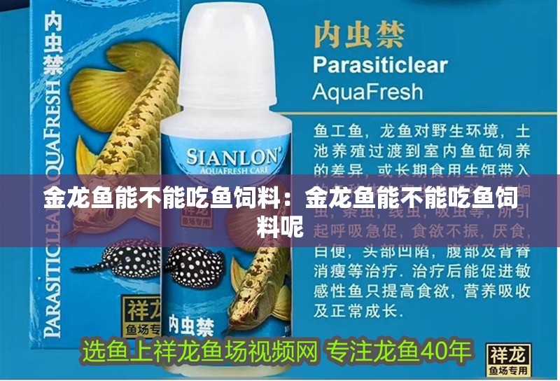 金龍魚能不能吃魚飼料：金龍魚能不能吃魚飼料呢 金龍魚能不能吃魚飼料：金龍魚能不能吃魚飼料呢 水族問答