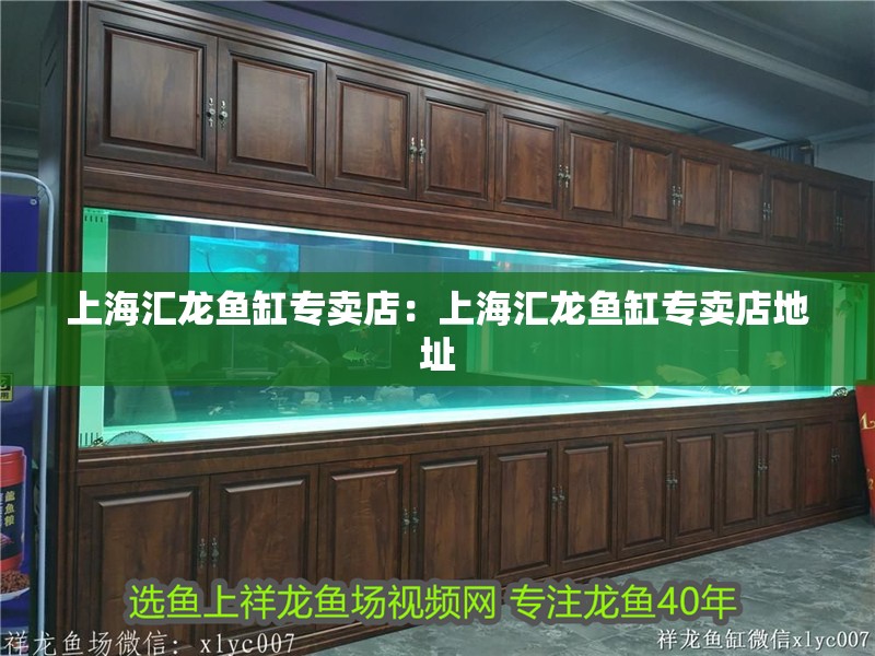 上海匯龍魚缸專賣店:上海匯龍魚缸專賣店地址 水族問答 上海匯龍魚缸專賣店:上海匯龍魚缸專賣店地址 上海匯龍魚缸專賣店:上海匯龍魚缸專賣店地址 水族問答