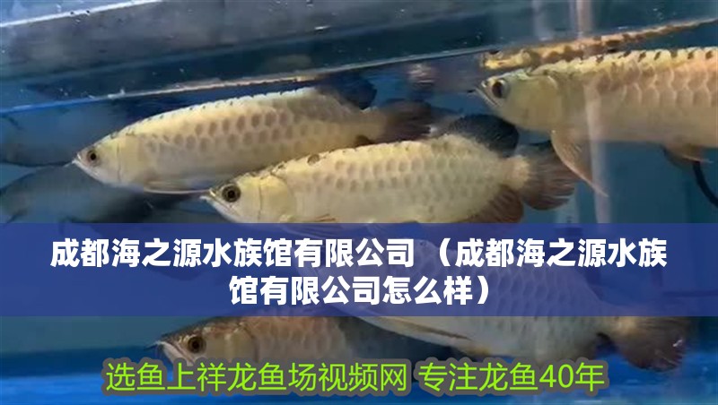 成都海之源水族館有限公司 （成都海之源水族館有限公司怎么樣）