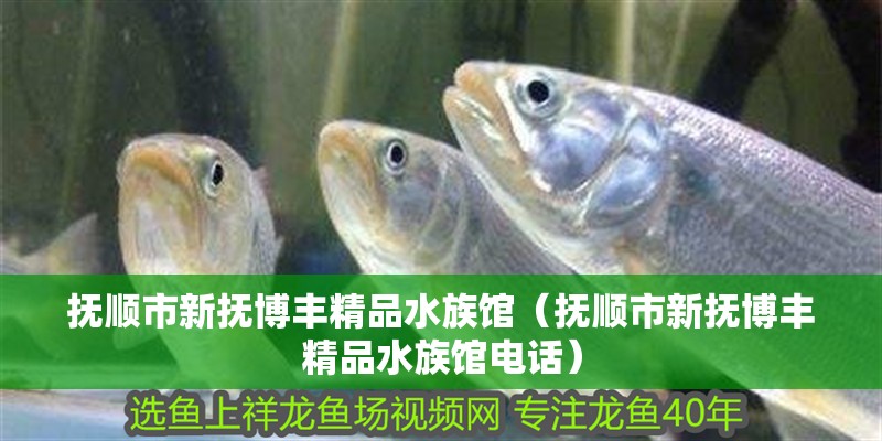 撫順市新撫博豐精品水族館（撫順市新撫博豐精品水族館電話）