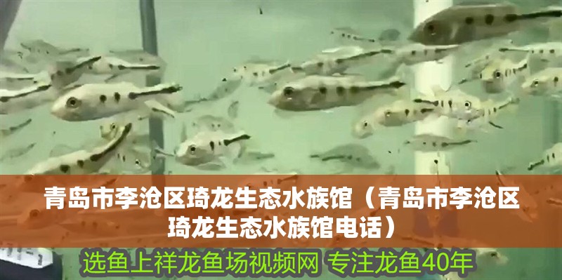青島市李滄區琦龍生態水族館（青島市李滄區琦龍生態水族館電話）