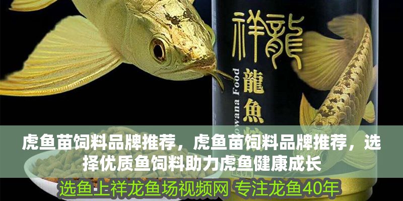 虎魚苗飼料品牌推薦，虎魚苗飼料品牌推薦，選擇優質魚飼料助力虎魚健康成長